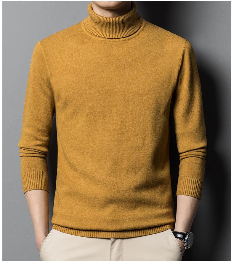 Double Anti-Nano Velvet Turtleneck Sweater for Men