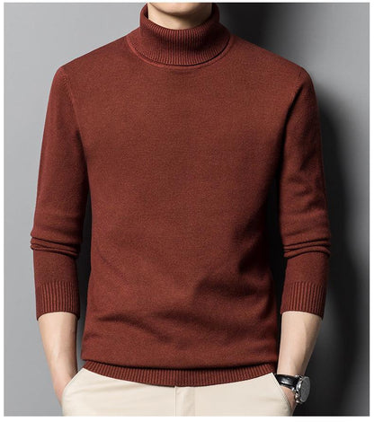 Double Anti-Nano Velvet Turtleneck Sweater for Men