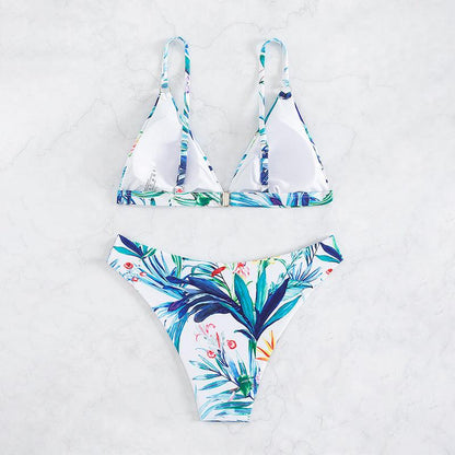 &quot;Lace Allure&quot; Women&